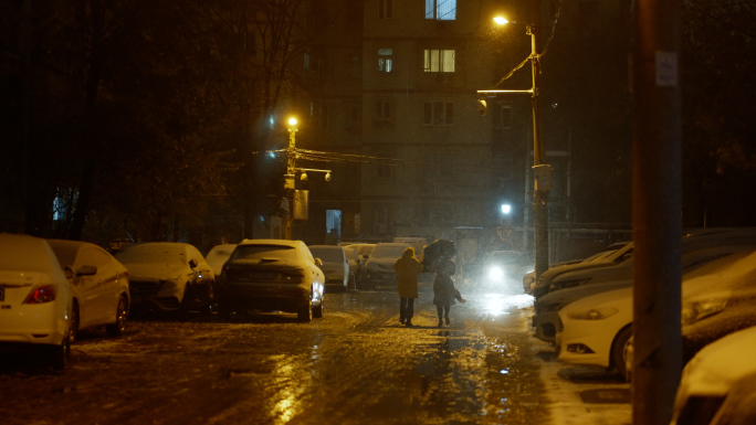 【4K】城市风雪之夜-夜景空镜01