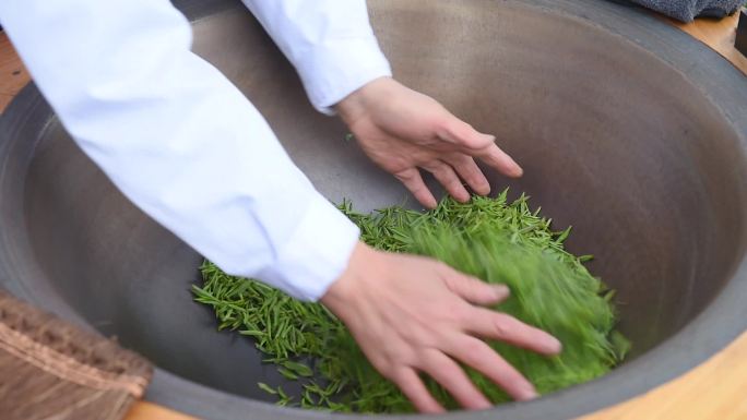 茶叶加工传统手工制茶绿茶