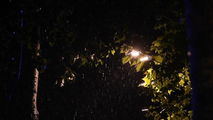 城市夜晚雨景