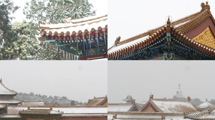 【4k】故宫下雪初雪乾清宫后花园北京雪景