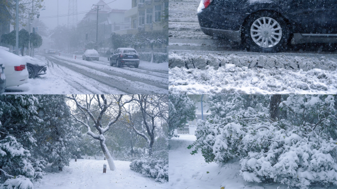 雪 雪景 冬天 下大雪 城市下雪 树枝