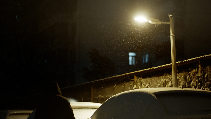【4K】城市风雪之夜-升格-夜景空镜04