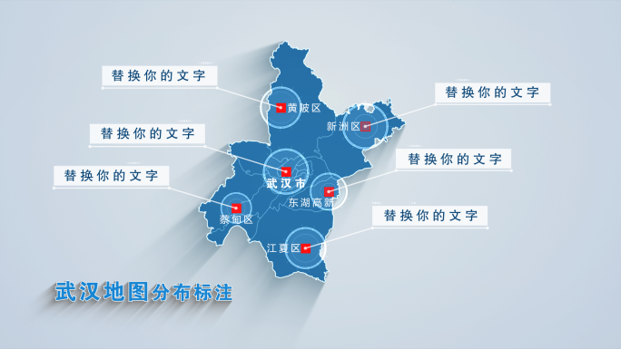 武汉地图科技标注