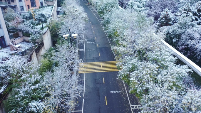 2021西安曲江初雪印象