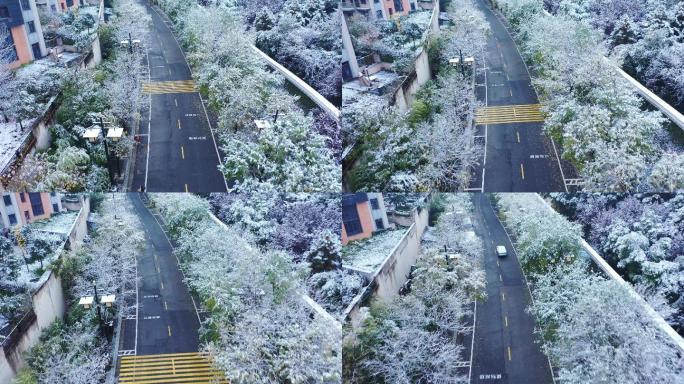 2021西安曲江初雪印象
