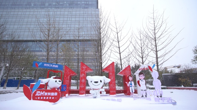 实拍亦庄京东总部logo大楼双11雪景