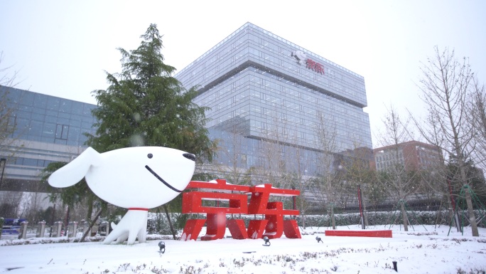 实拍亦庄京东总部logo大楼双11雪景