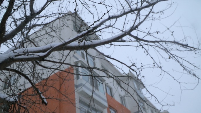 冬天小区雪景、下雪雪花暴风雪