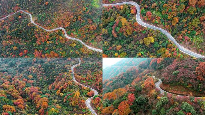 4K 航拍雷公山森林山区公路秋天景色2