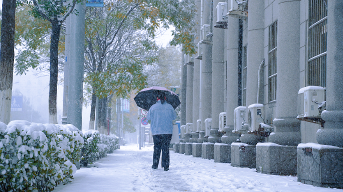 雪 雪景 城市下大雪 下雪 冬天