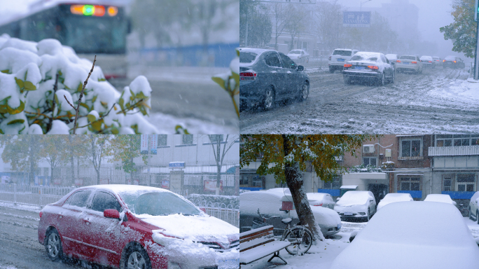 雪 雪景 城市下大雪 下雪 冬天