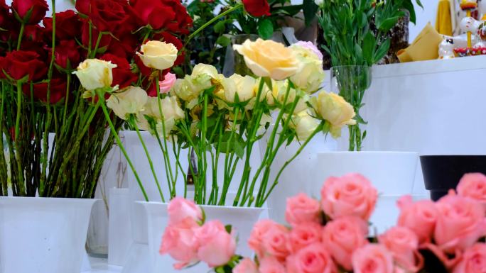 情人节花店出售各种颜色的玫瑰花