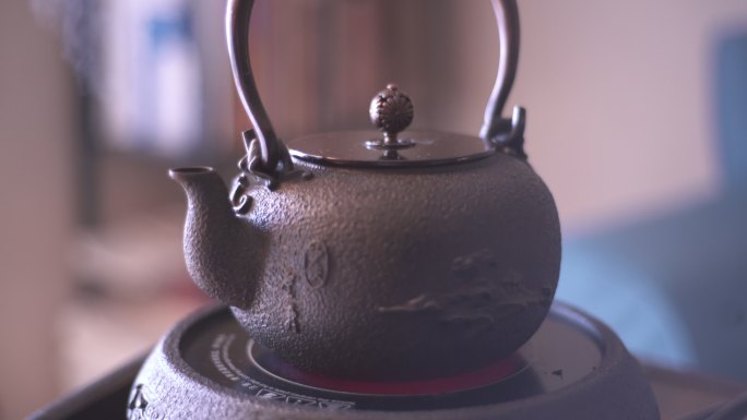 铁茶壶 铁壶 烧开了水 冒着热气 茶道