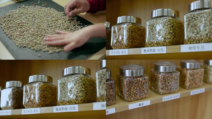 咖啡视频咖啡生豆手工挑拣瓶装分类样本