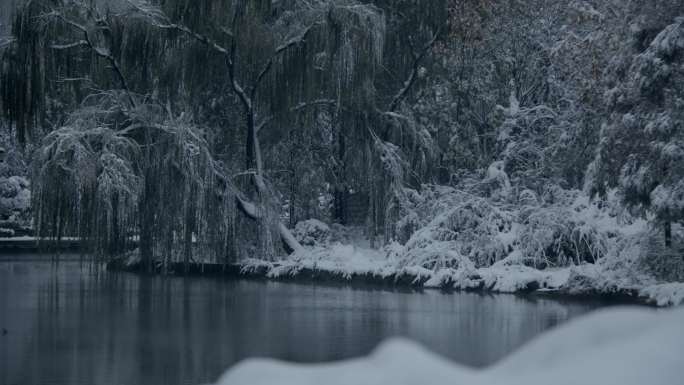 济南的冬天初雪过后大明湖景色