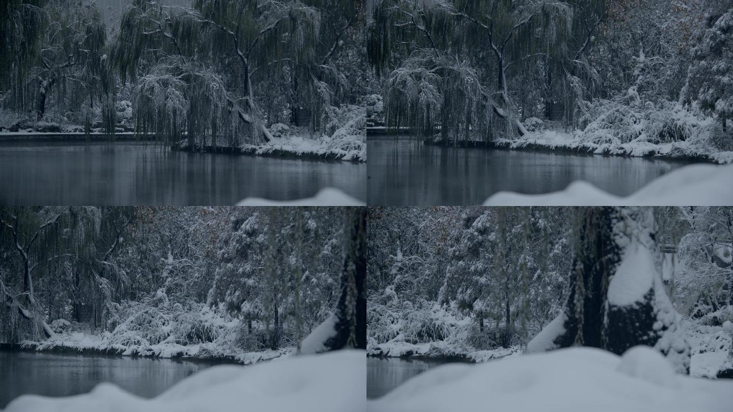 济南的冬天初雪过后大明湖景色