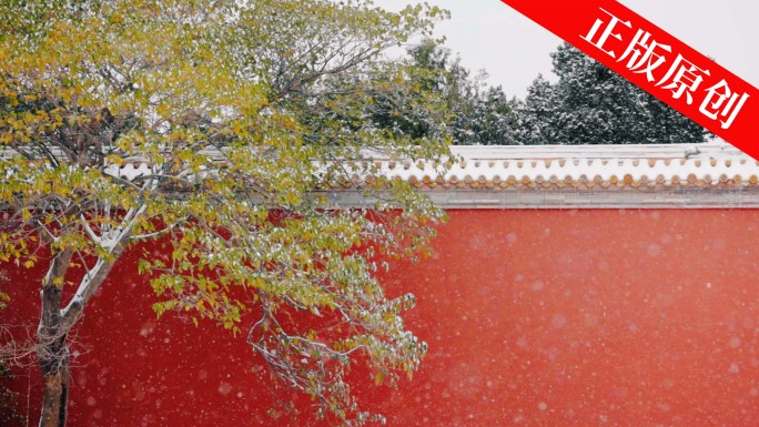 北京冬天故宫紫禁城雪景飘雪慢动作升格实拍