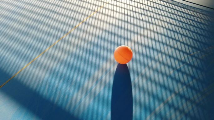 球网的影子和乒乓球
