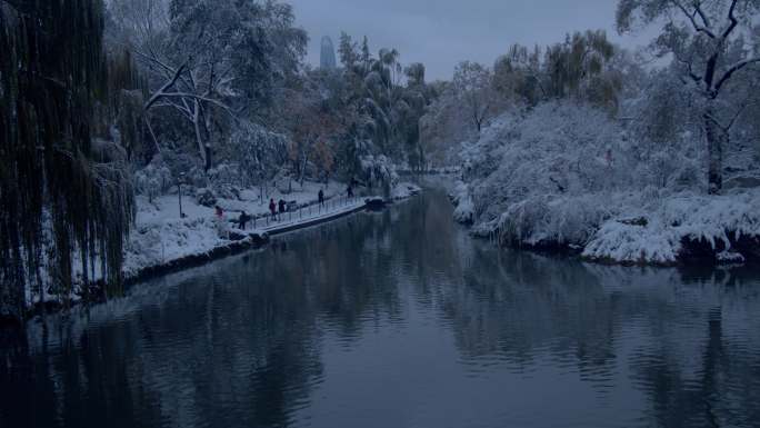 济南初雪后的大明湖雪景