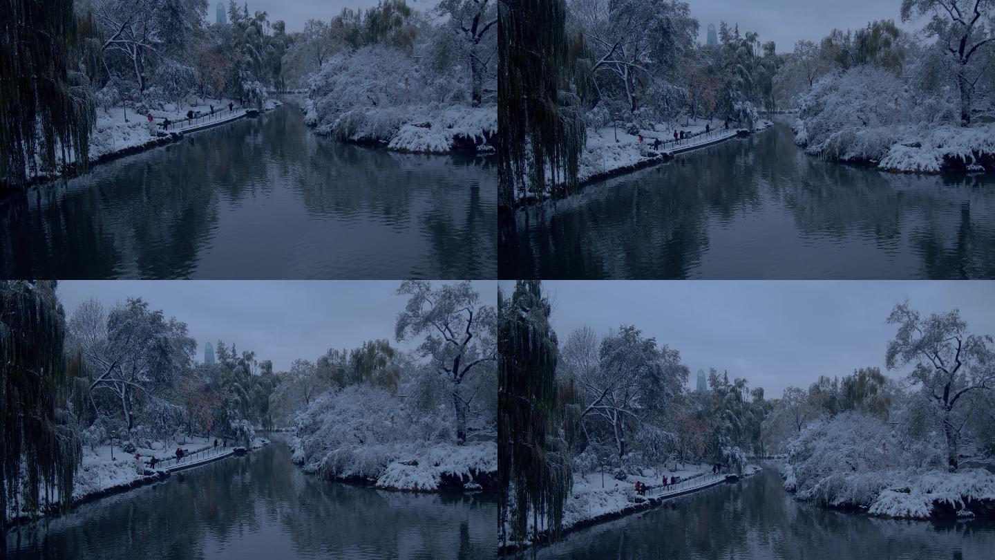 济南初雪后的大明湖雪景