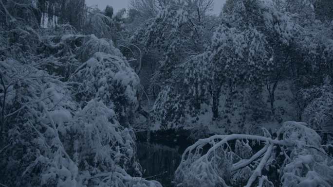 济南的冬天初雪过后大明湖景色