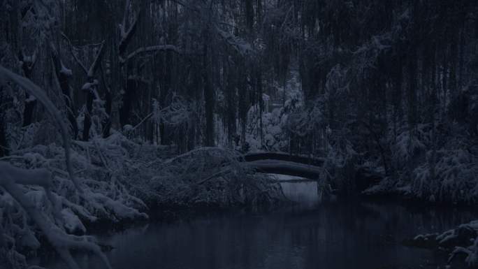 济南的冬天初雪过后大明湖景色