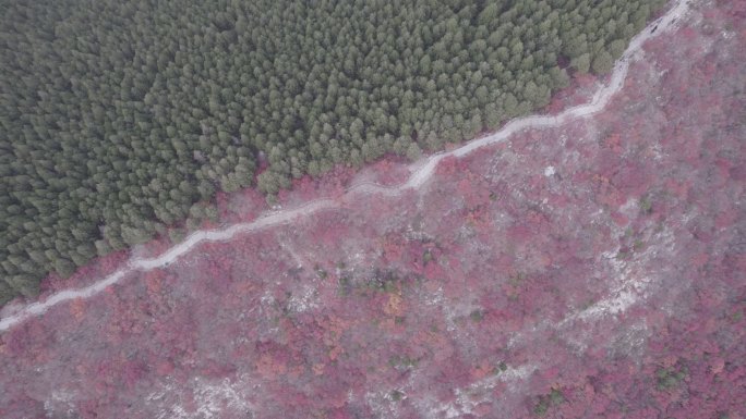 航拍网红平分秋色蝎子山，适用于风景宣传