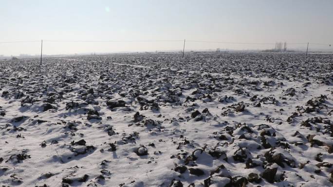 东北黑土地雪漫黑土地 寒地黑土