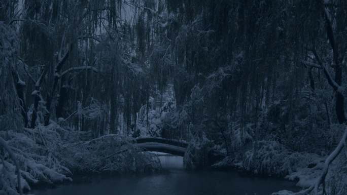 济南的冬天初雪过后大明湖景色