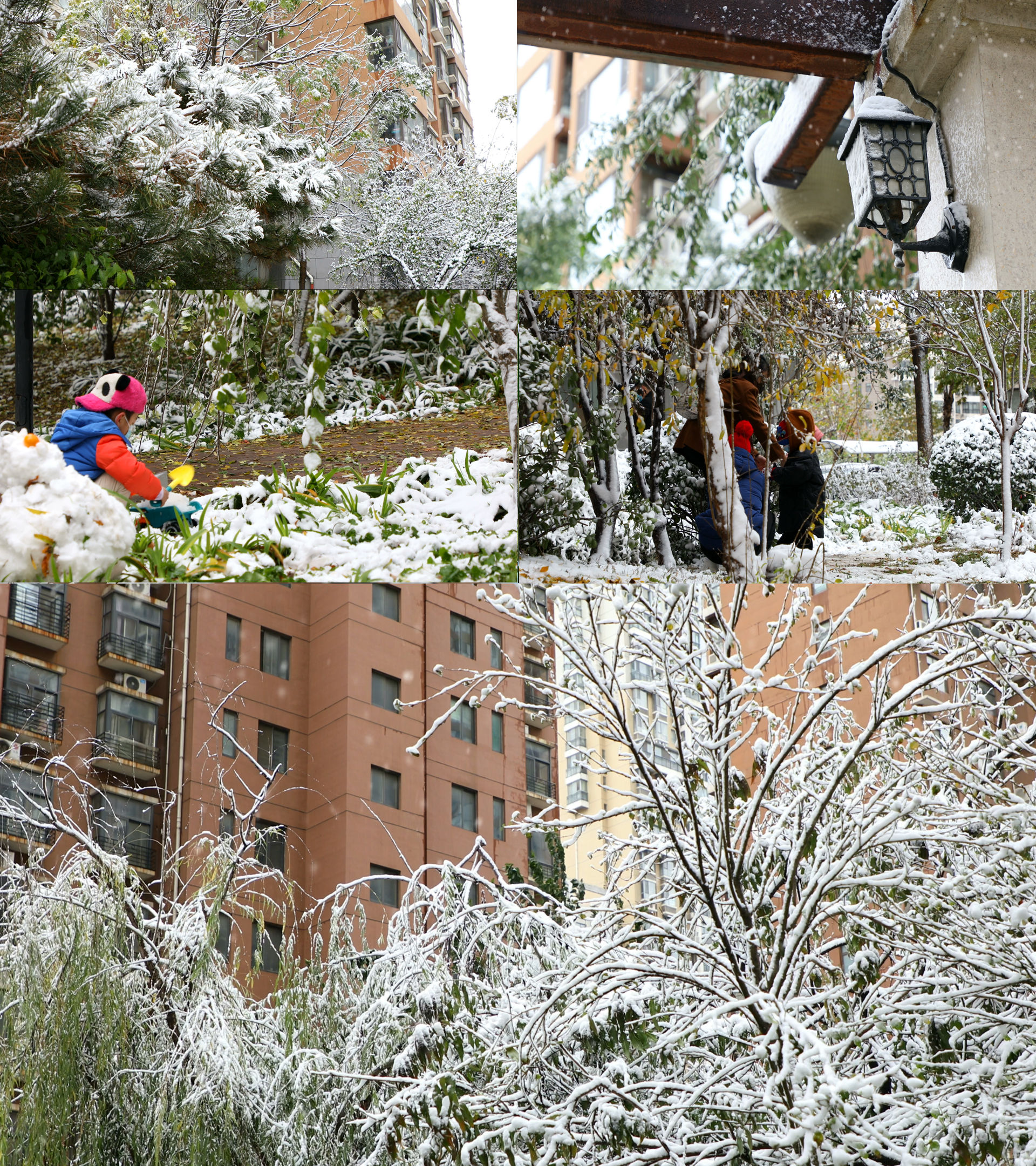 雪景下雪-孩子玩耍-小区冬天