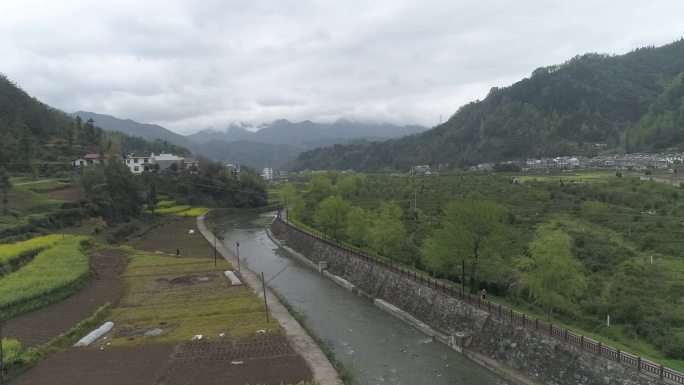 汉中茶叶种植园航拍