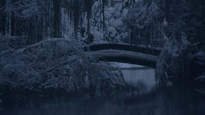 济南的冬天初雪过后大明湖景色