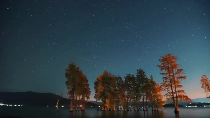 高清云南大理洱海红杉树延时星空拍摄