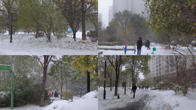 雪花飘落唯美初雪雪景雨夹雪初冬景色