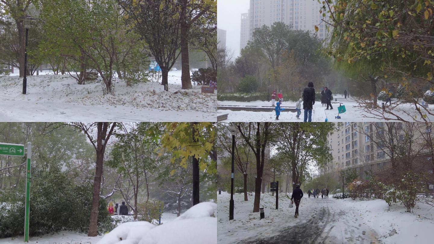 雪花飘落唯美初雪雪景雨夹雪初冬景色