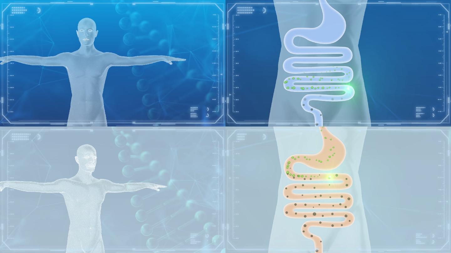 肠道健康AE双色版
