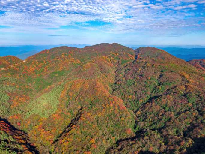 4K 航拍雷公山森林秋天景色延时风光