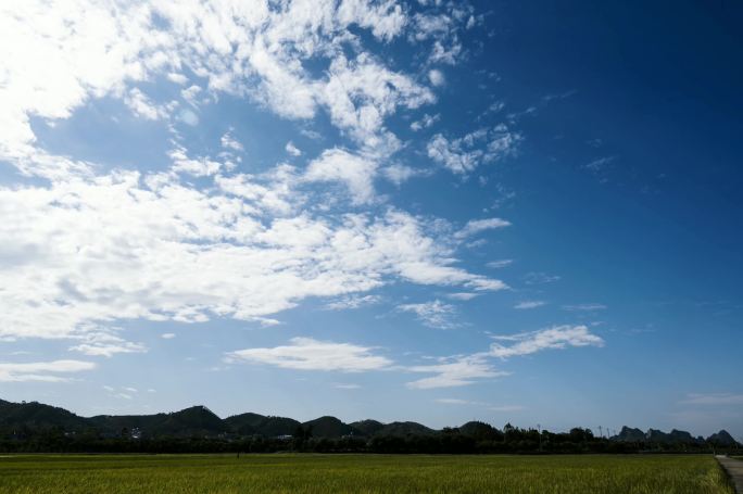 稻田上的蓝天白云