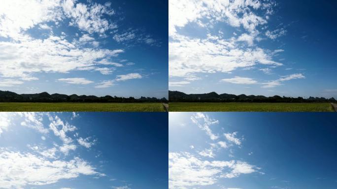 稻田上的蓝天白云