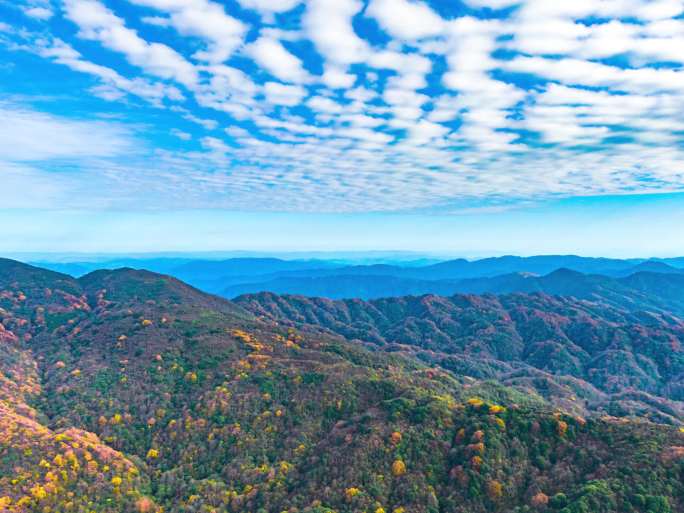 4K 航拍雷公山森林秋天景色延时风光2