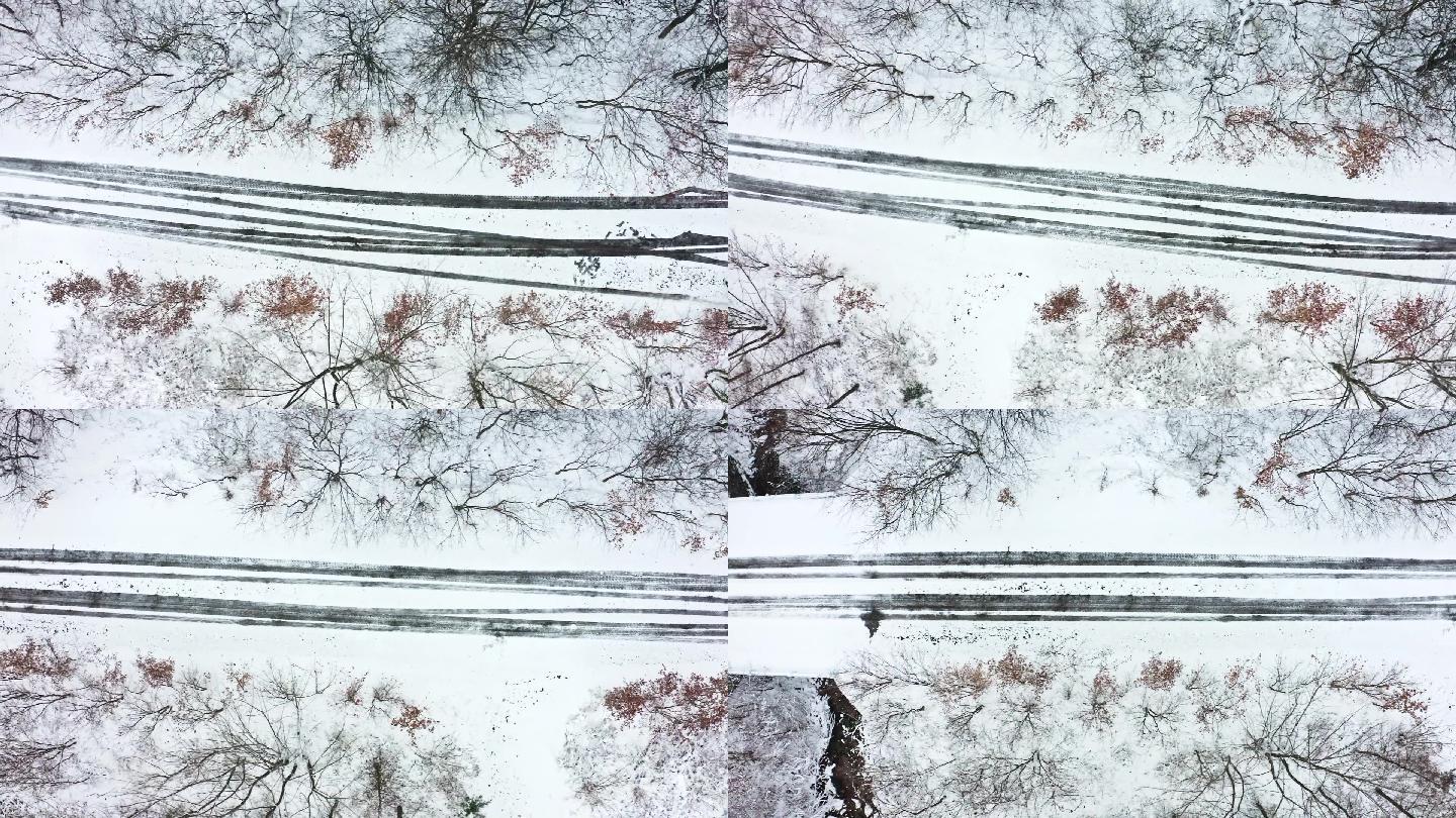 第一场雪 乡村振兴农村 雪景小河溪 生态