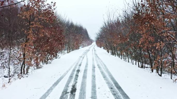 第一场雪 乡村振兴农村 雪景小河溪 生态