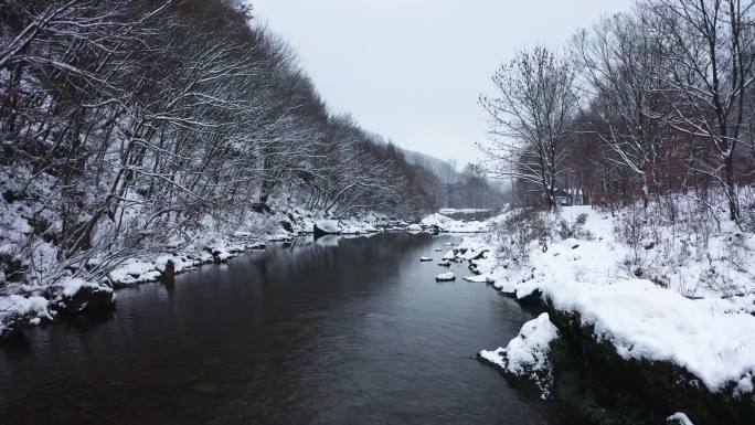 第一场雪 乡村振兴农村 雪景小河溪 生态