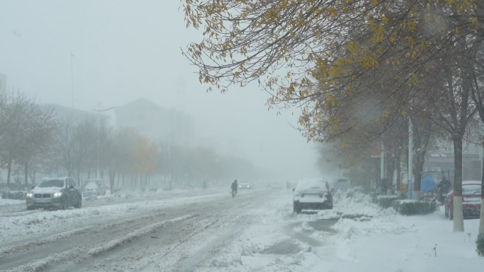 大雪暴风雪