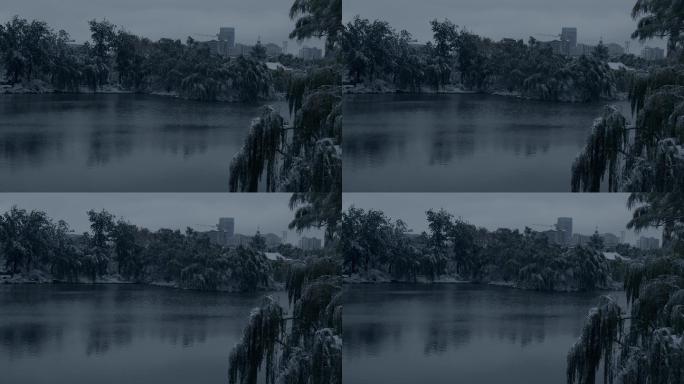初雪后的济南大明湖景色