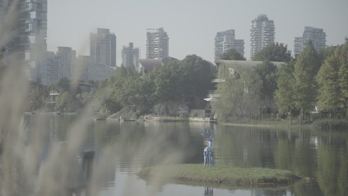 成都麓客岛湖中心高端别墅区