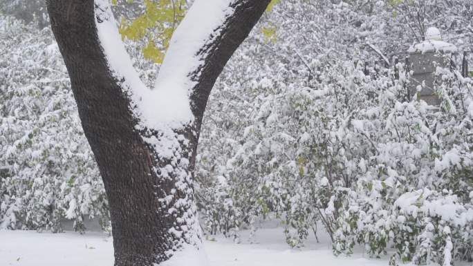 大雪天气城市空镜升格