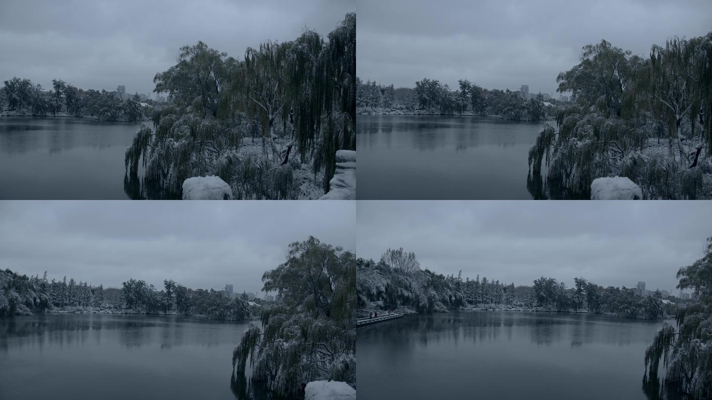 济南的冬天初雪过后大明湖景色