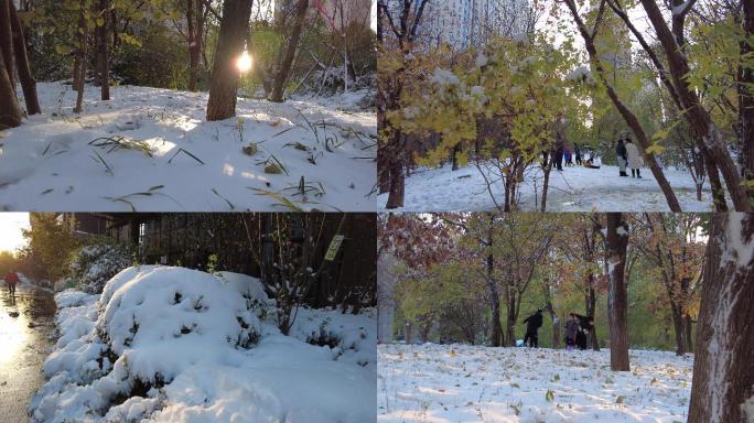 玩雪人 唯美初雪雪景雨夹雪初冬景色