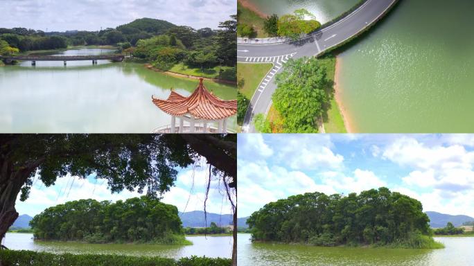 植物园航拍 湖泊  湖上道路  小岛